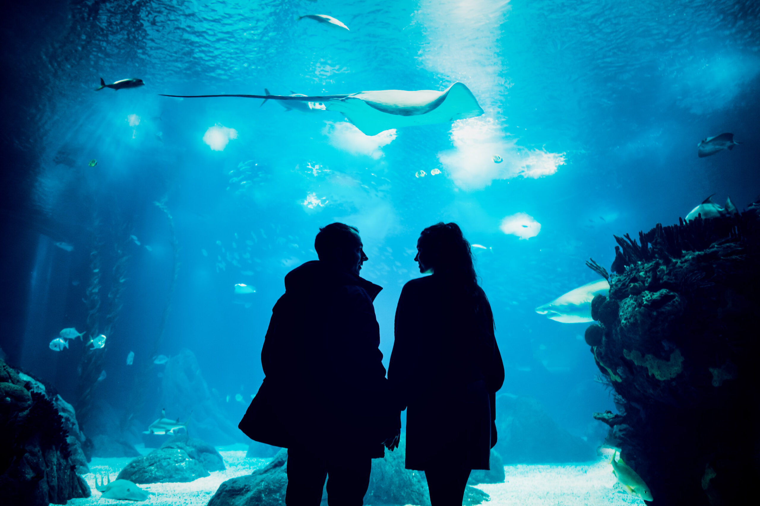 a man and woman looking at a stingray in a tank