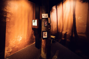 Art Installation at the House of Music.