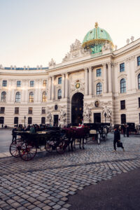 Picturesque view of a fiaker in front of Hofburg Palace, blending history and tradition.