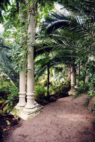 Tropical paradise inside Schönbrunn's Palm House.