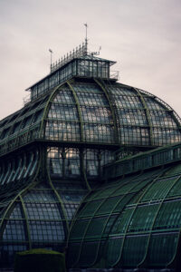Curved glass roof of the Palm House Schönbrunn seen from below.