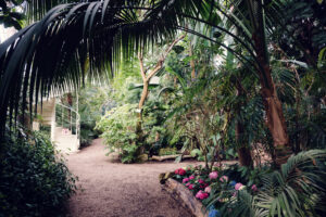 Pathway through the Palm House Schönbrunn lined with arching tropical plants.