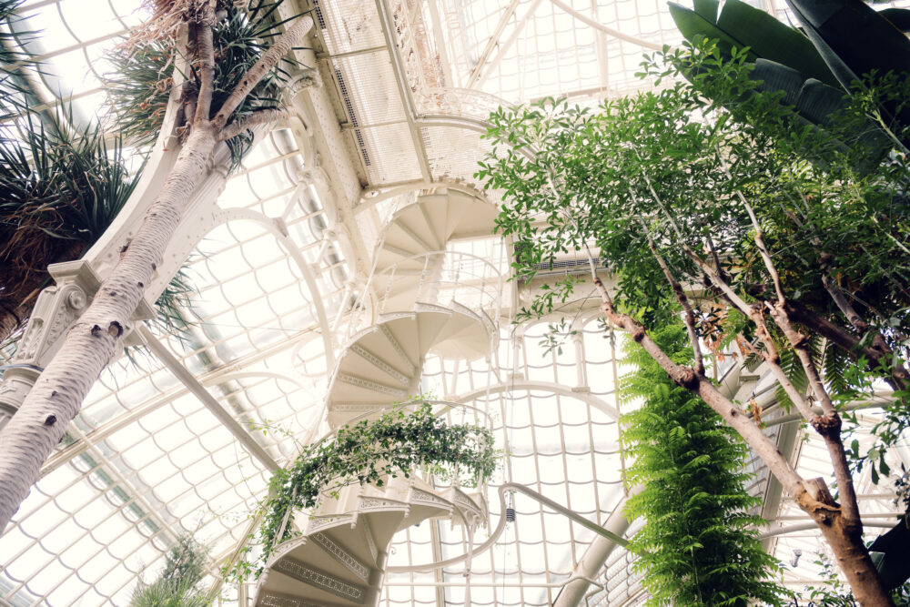 Elegant iron spiral staircase within the Palm House.