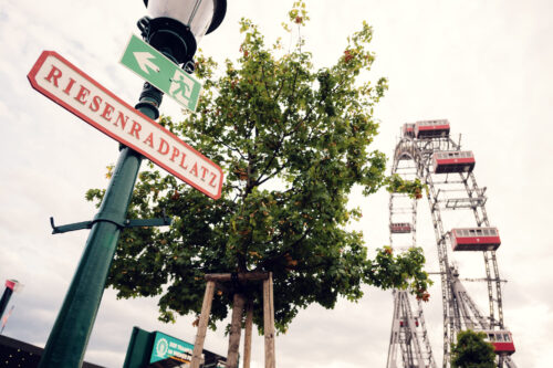 The iconic Giant Ferris Wheel (Wiener Riesenrad) bathed in soft afternoon light, its historic structure creating perfect symmetry against a pastel Viennese sky.