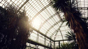 Sonnenlicht strömt durch die Glasflächen des Wüstenhauses Schönbrunn.