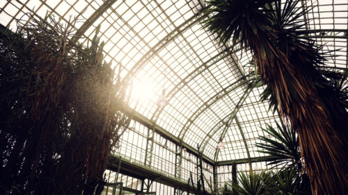 Sonnenlicht strömt durch die Glasflächen des Wüstenhauses Schönbrunn.