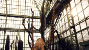 Warmes Sonnenlicht fällt durch die Glasdecke des Wüstenhauses Schönbrunn.