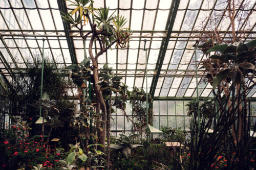 Natürliches Licht durchflutet den Weg zwischen den Wüstenpflanzen im Wüstenhaus Schönbrunn.