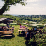 Terrasse du Mayer am Nussberg entourée de vignes avec vue sur les collines de Vienne.