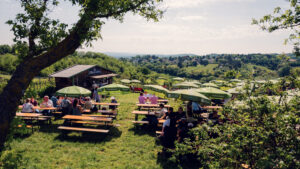 Outdoor seating area at Mayer am Nussberg surrounded by vineyards with views of Vienna's hills.