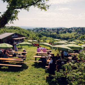 Terrasse du Mayer am Nussberg entourée de vignes avec vue sur les collines de Vienne.