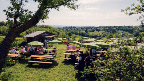 Outdoor seating area at Mayer am Nussberg surrounded by vineyards with views of Vienna's hills.