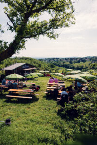 Rows of wooden tables at Mayer am Nussberg with grapevines and a panoramic view of Vienna.