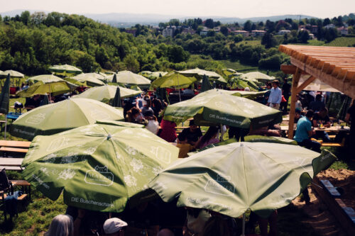Shaded seating under trees at Mayer am Nussberg on a warm summer day.