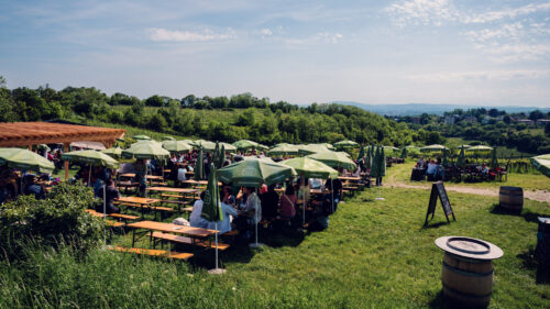 Green umbrellas and wooden tables at Mayer am Nussberg with vineyards in the background.