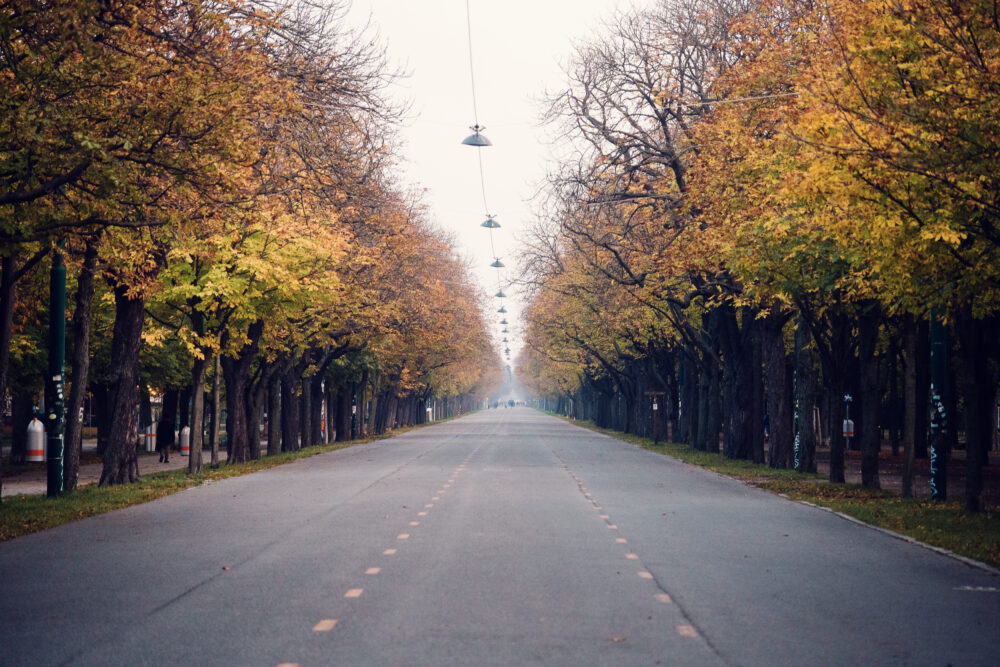 Prater Allee Vienna Austria, tree-lined avenue and main thoroughfare through historic Wiener Prater park.