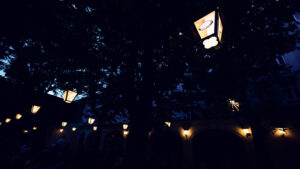 Branded lanterns glowing among the trees in the beer garden at night.