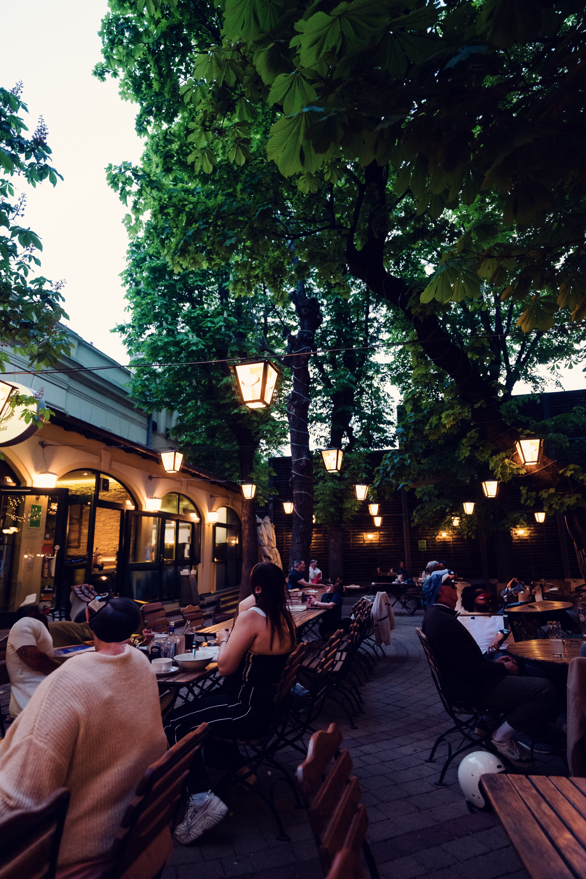 Guests sitting under lantern-lit trees in the courtyard garden at Brandauer's Schlossbräu.