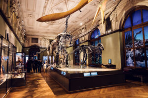 Sala de esqueletos de dinosaurios en el Museo de Historia Natural de Viena con varias especies prehistóricas en la gran sala de exposición.