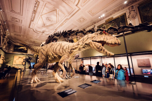 Fósil de dinosaurio en el Museo de Historia Natural de Viena.