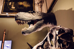 Cráneo de dinosaurio en el Museo de Historia Natural de Viena.