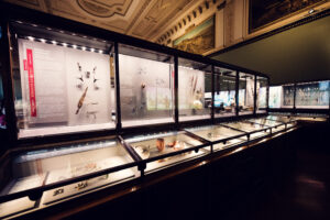 Herramientas de piedra y artefactos prehistóricos en el Museo de Historia Natural de Viena.