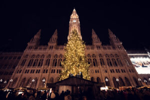 Christmas Market at Vienna Rathaus with illuminated trees and festive decorations in Rathausplatz.