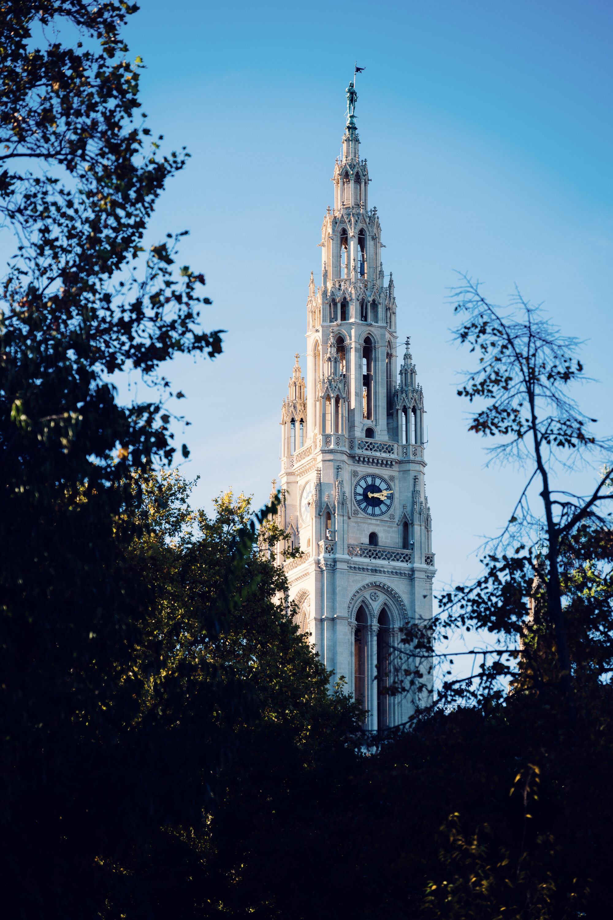 Vienna Rathaus tower rising above the treetops of Rathauspark on a clear day.