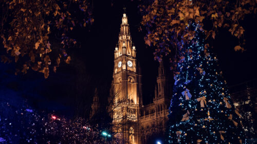 L'Hôtel de Ville de Vienne illuminé la nuit avec la tour centrale et les détails de la façade.