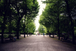 Visitatori sulla larga passeggiata in ghiaia del parco di Schönbrunn.