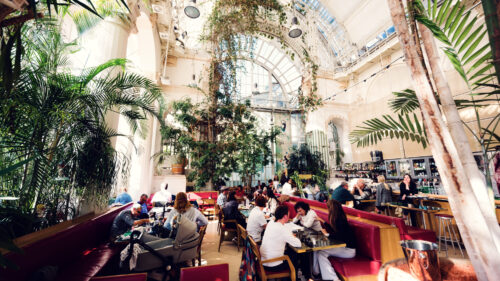 Guests dining beneath the glass roof surrounded by palm trees inside Palmenhaus.