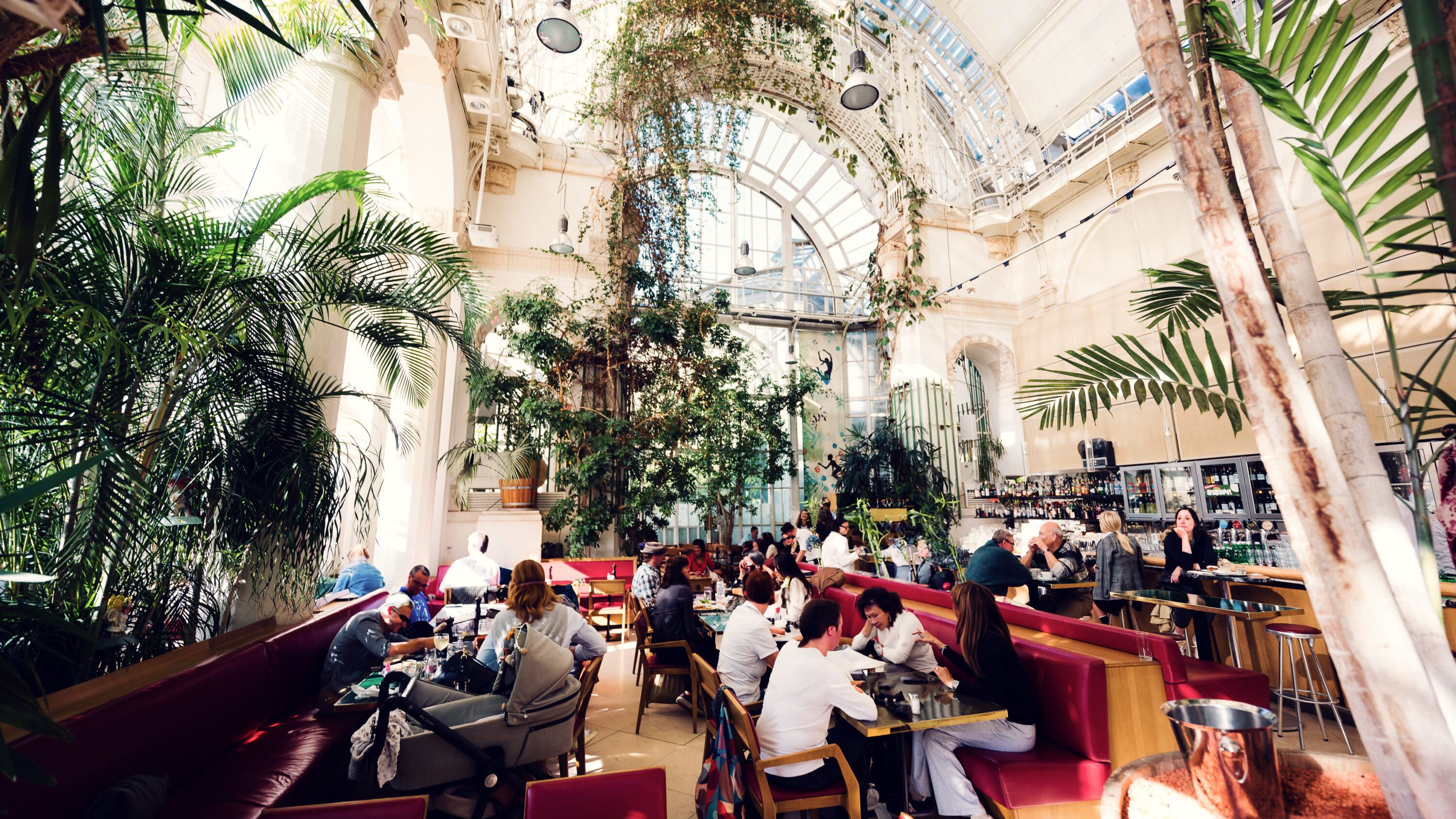 Brasserie Palmenhaus - 1