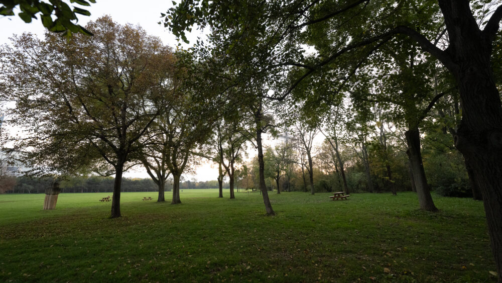 Nice landscapes of Donaupark, providing a peaceful retreat in the heart of Vienna.