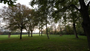 Green lawns and mature trees along a pathway in Donaupark.