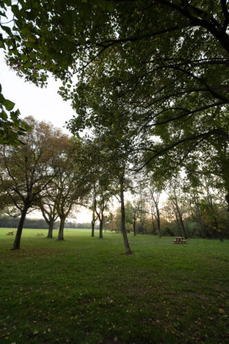 Peaceful greenery of Donaupark.