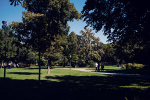 Camino sombreado por el Burggarten en un día de verano con visitantes paseando bajo árboles altos.