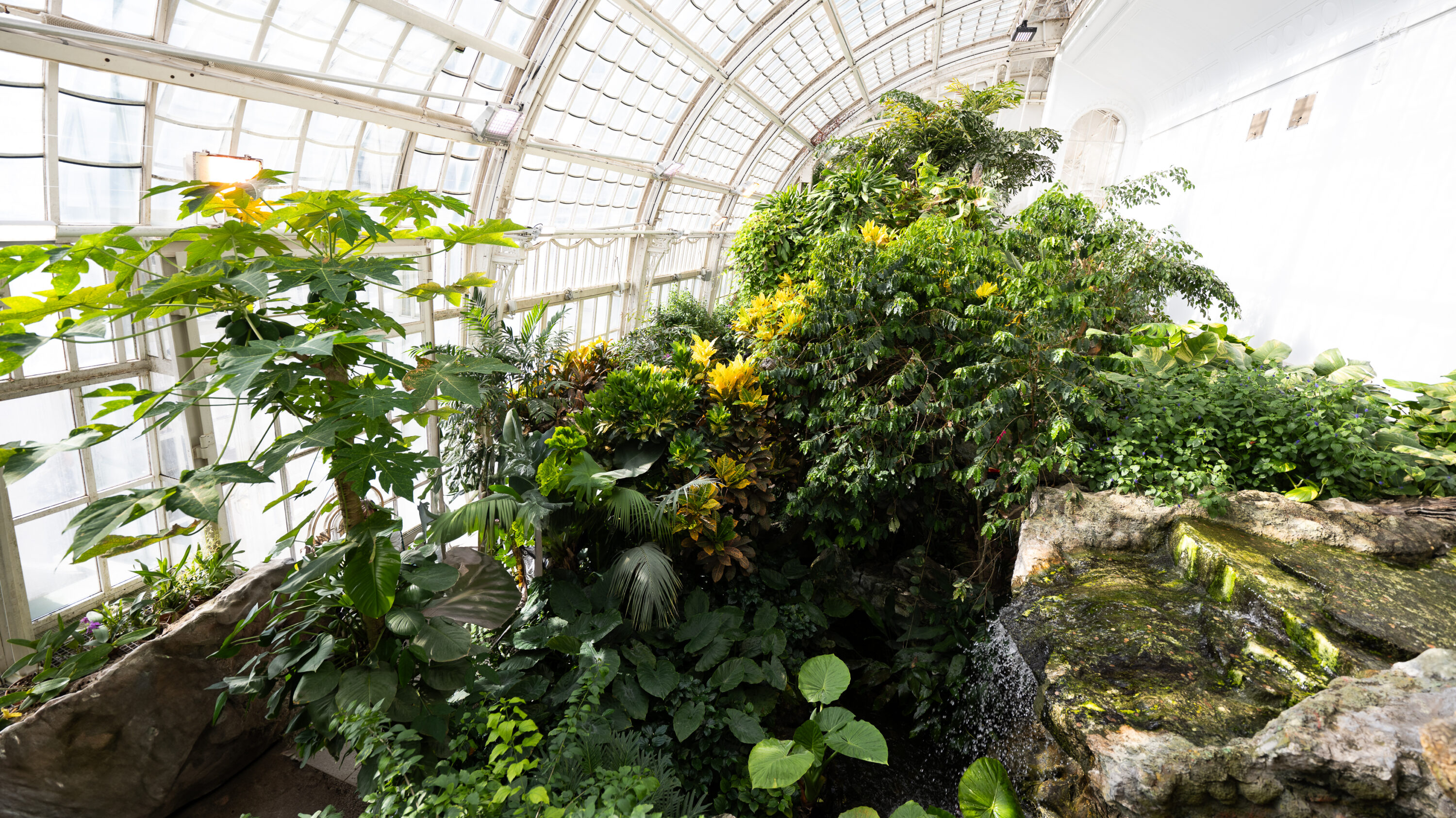 Schmetterlinghaus (Butterfly House) - 1