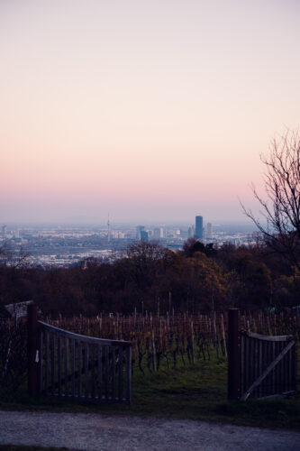 Expansive skyline view of Vienna from Am Himmel, capturing the city's majestic beauty and architectural landmarks.