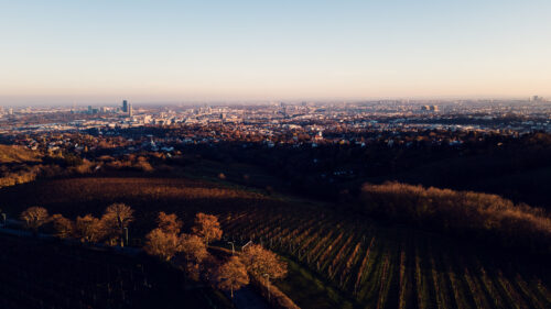 View of the vineyards from Cobenzl, capturing the lush greenery and hills.