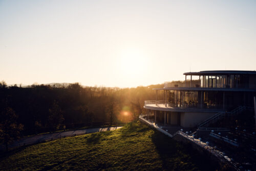 Charming Cobenzl, a popular spot for enjoying Vienna's breathtaking views and natural beauty.