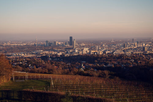 Breathtaking vista of Vienna from Cobenzl, capturing the city's iconic skyline.