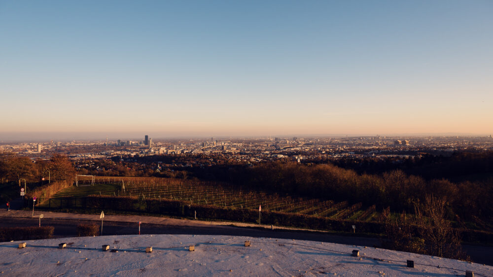 Expansive view of Vienna from Cobenzl, offering a stunning perspective of the city.