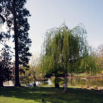 Netzwerk historischer Wege durch den Stadtpark, die verschiedene Denkmäler und Gartenanlagen verbinden.