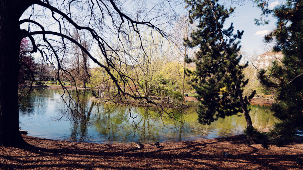 Stadtpark's water features and fountains, demonstrating 19th-century urban park engineering.