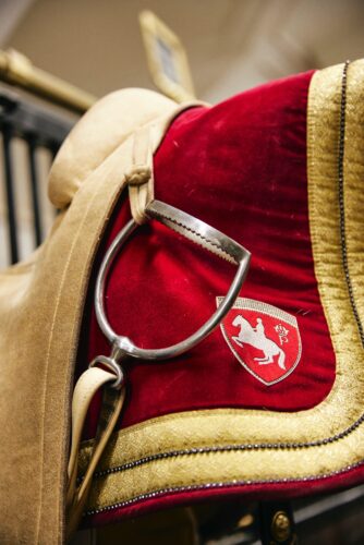 Spanish Riding School, Vienna, Copyright Julie Brass