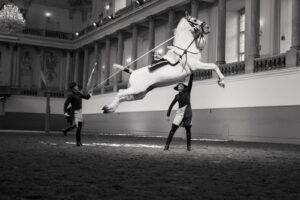 Spanish Riding School, Vienna, 2023, Copyright www.peterrigaud.com