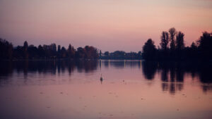 Sonnenuntergang über der Alten Donau in Wien mit goldenen Spiegelungen auf der Wasseroberfläche.
