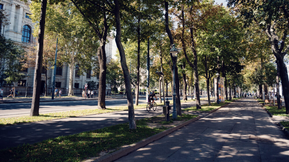 Vienna's Ringstrasse boulevard at sunset, lined with 19th-century architectural landmarks including the State Opera, Parliament, and University, showcasing the city's grand Imperial heritage.