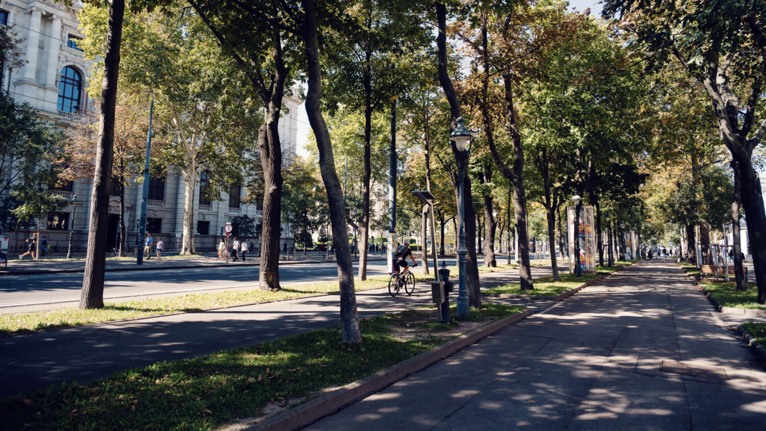 Vienna's Ringstrasse boulevard at sunset, lined with 19th-century landmarks including the State Opera, Parliament, and University.