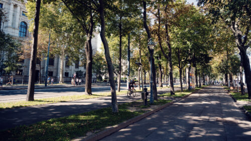 Vienna's Ringstrasse boulevard at sunset, lined with 19th-century landmarks including the State Opera, Parliament, and University.
